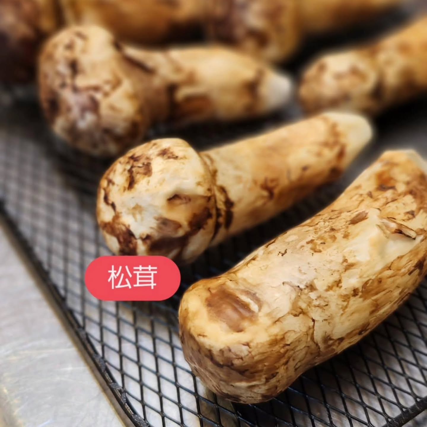 和食会席料理　成花秋の味覚、色々出てます小さい秋を見つけて残暑を乗り切る

❣️特別な日はSpecial料理で❣️
特別個室ございます。
お祝いコース、ご法事コースございます。
お子様御膳ございます

http://narihana.co.jp
和食会席料理　成花

Lunch:11:30～14:30
Dinner:17:00～21:30
日曜日夕方、月曜日定休